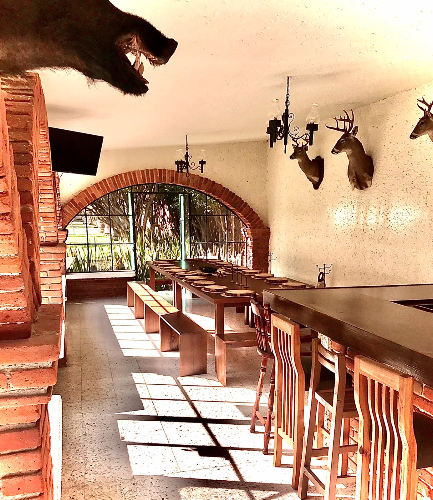 Salón de Trofeos — Ambiente Majestuoso 4