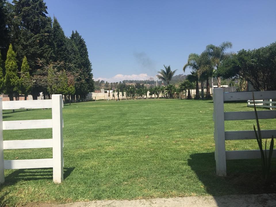 Vista panorámica de las extensas áreas verdes del jardín de Rancho San Antonio enmarcadas por bardas blancas en Zerezotla
