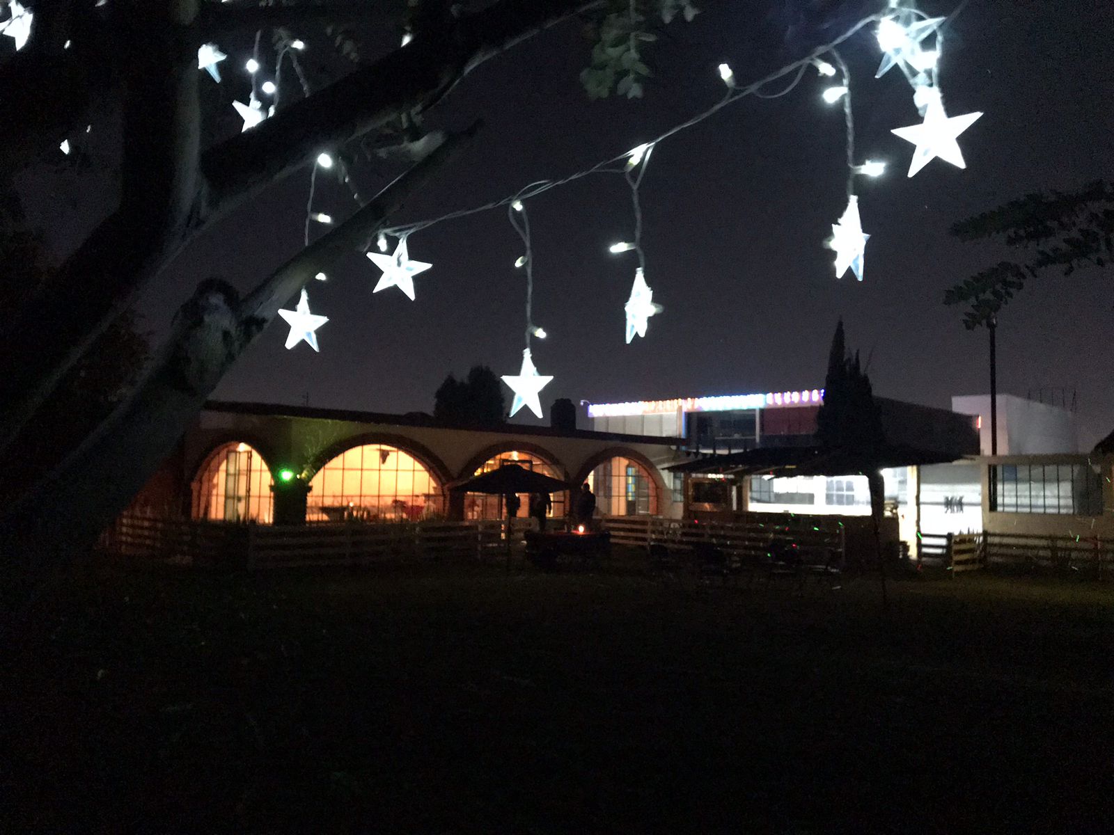 Fachada iluminada del Salón de Trofeos por la noche con luces estrella colgando de los árboles del jardín