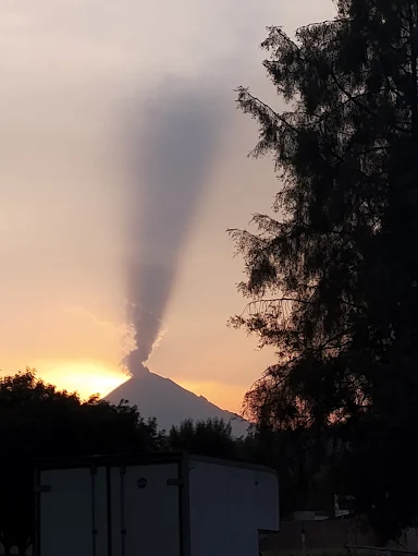 Vista desde Rancho San Antonio hacia el Popocatépetl al atardecer, con cipreses del jardín en silueta