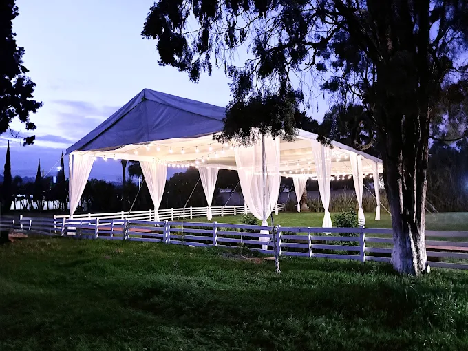 Experiencia de boda campestre en jardín de pinos