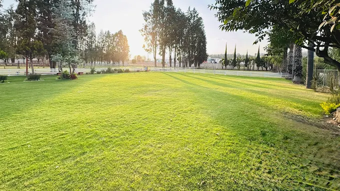 Amplio jardín de pasto verde con cipreses y árboles altos bañados por la luz dorada del amanecer en Zerezotla